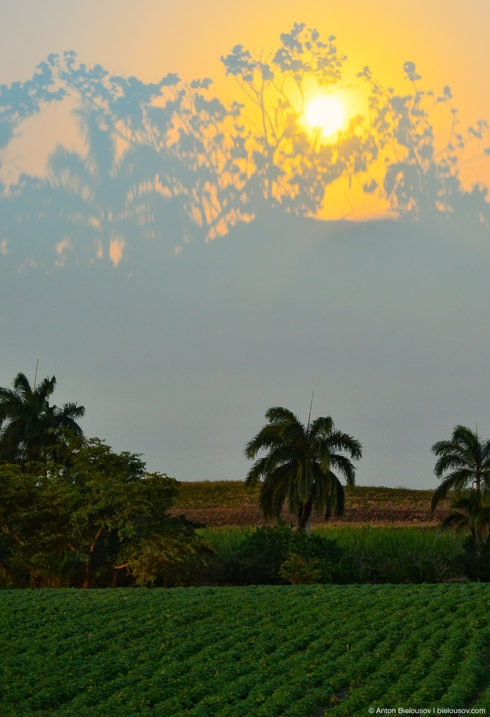 Закат, отразившийся в автобусном окне, за которым — типичный кубинский пейзаж