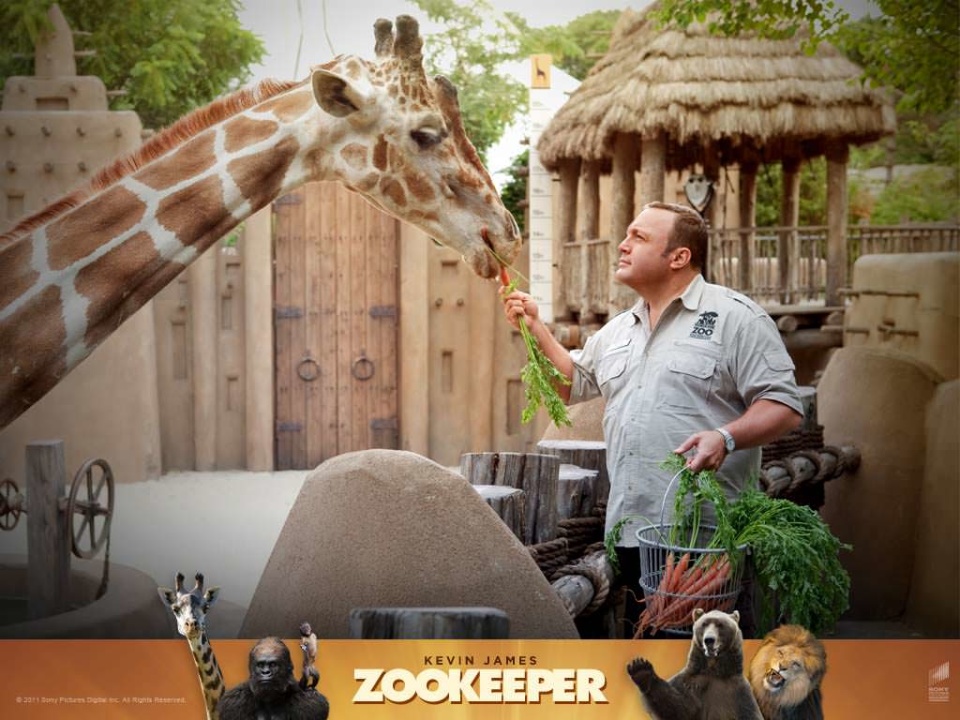 Kevin James Picture In Zookeeper Movie 2011 And Giraffe