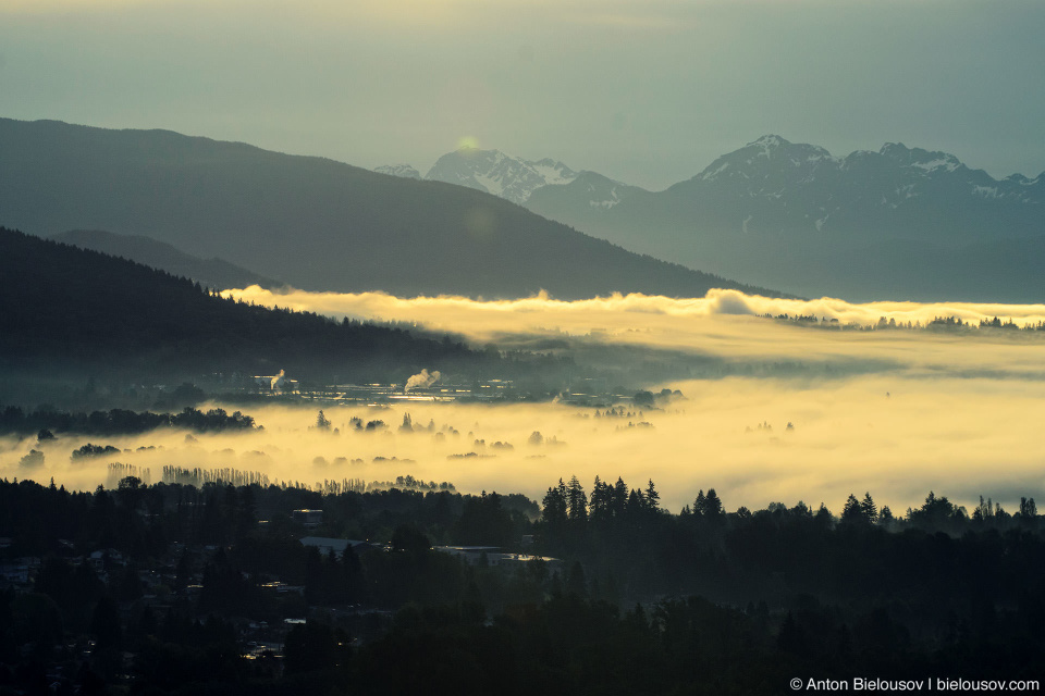 Vancouver morning fog from my apartment in Burnaby, BC