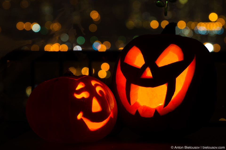 Our two 2012 halloween jack-o-lantern pumpkins