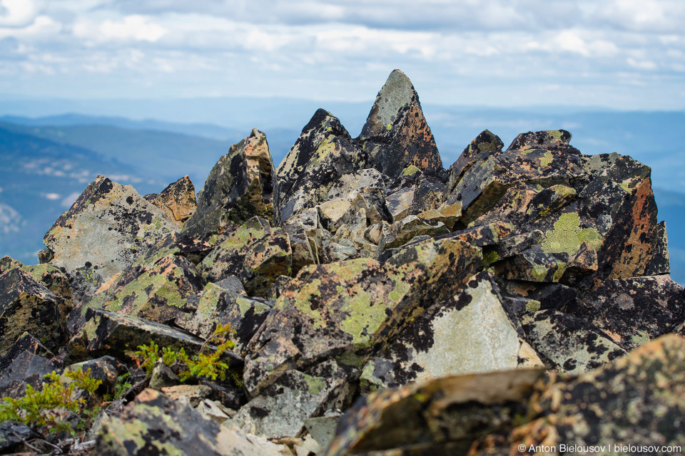 Острые камни, сплощь покрытые лишайниками на вершине Frosty Mountain