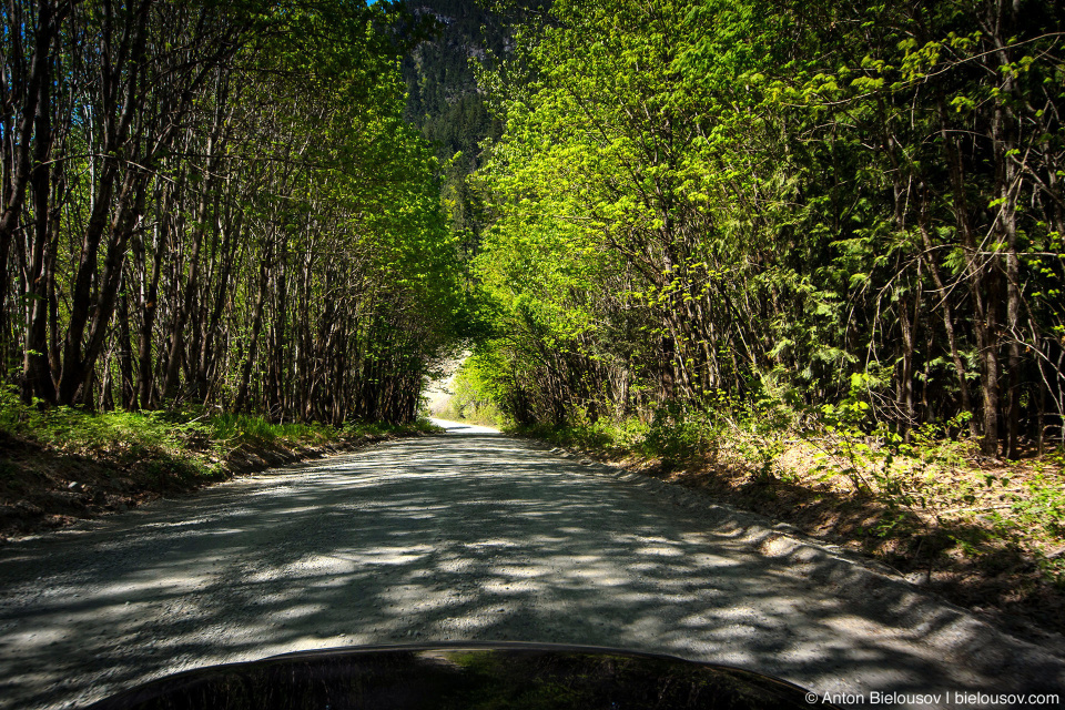 Lillooet Forestry Service Road — здесь так называют гравийные дороги, по которым из лесу вывозят дреесину на огромных грузовиках.