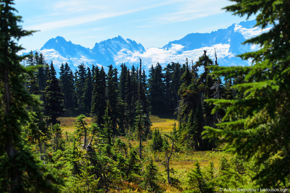 Taylor Meadows trail: Вид на горы и ледники сзади заставляют оборачиваться каждые несколько секунд.