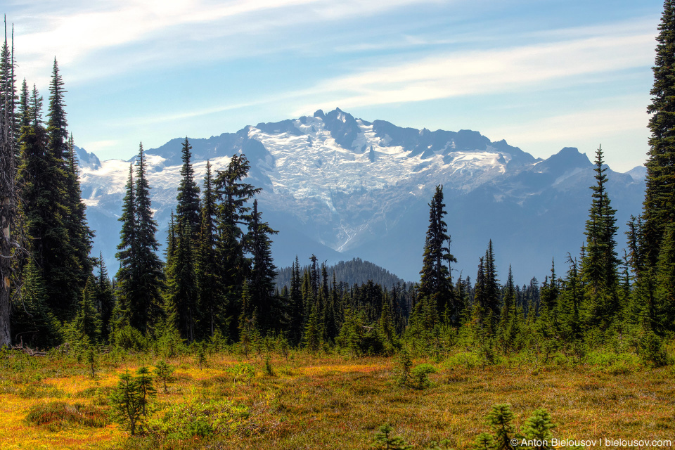 Taylor Meadows trail: Вид на горы и ледники сзади заставляет оборачиваться каждые несколько секунд.