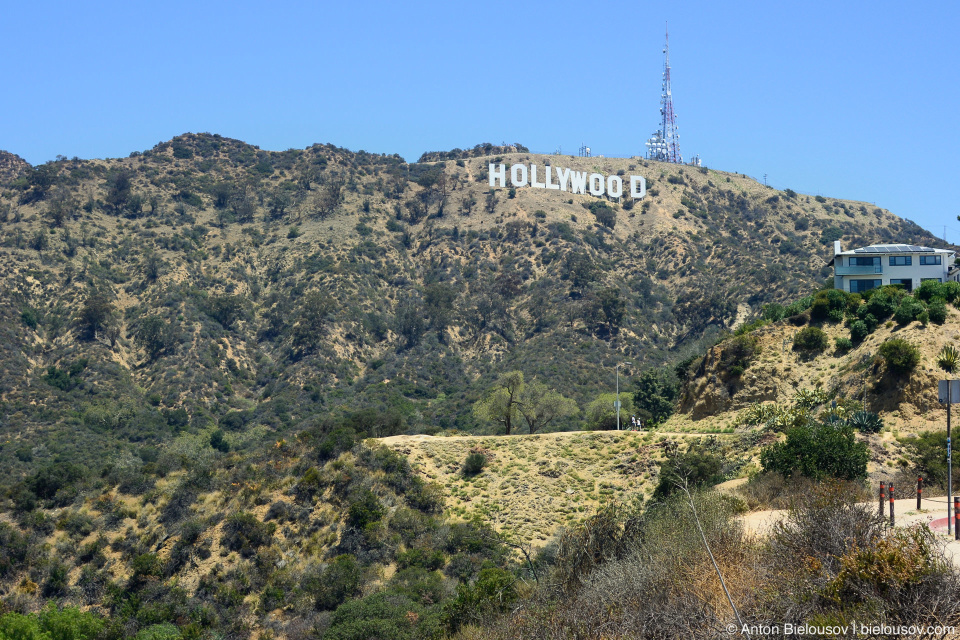 Hollywood Sign