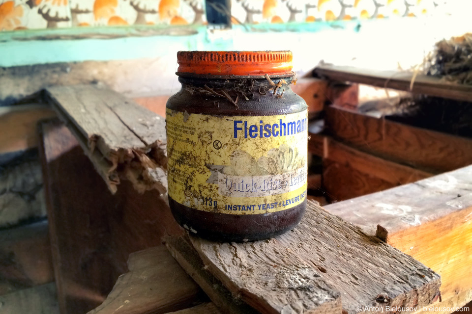 fleischmann's yeast quick-rise 1986