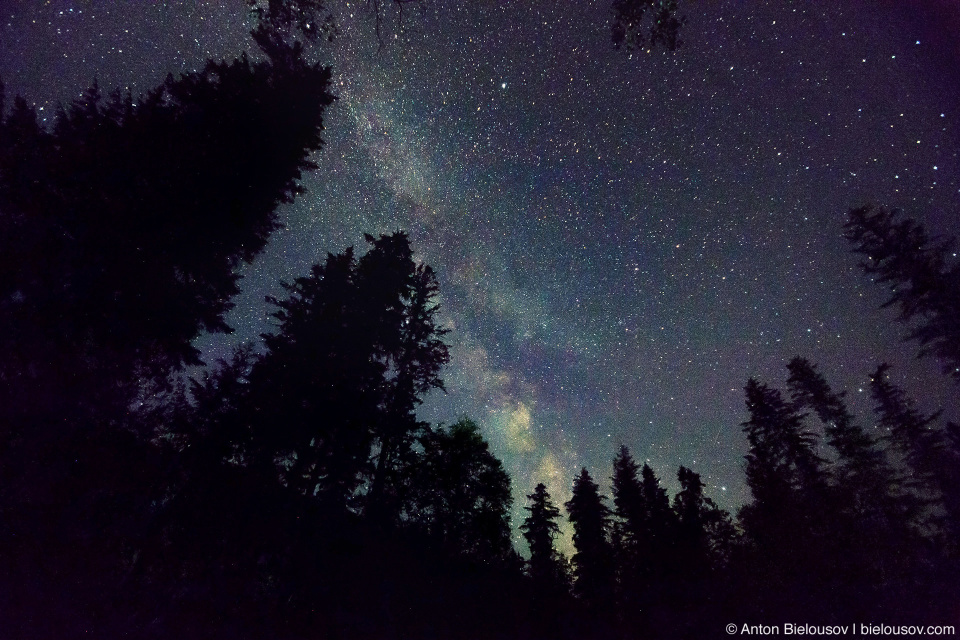 Milky Way in North Thompson River Provincial Park, BC