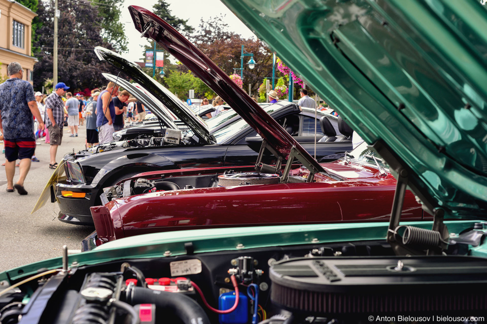 2016 Port Coquitlam Car Show — Ford Mustang