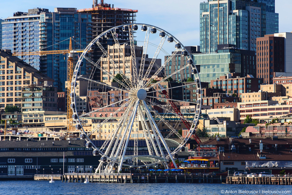 Seattle Eye Wheel