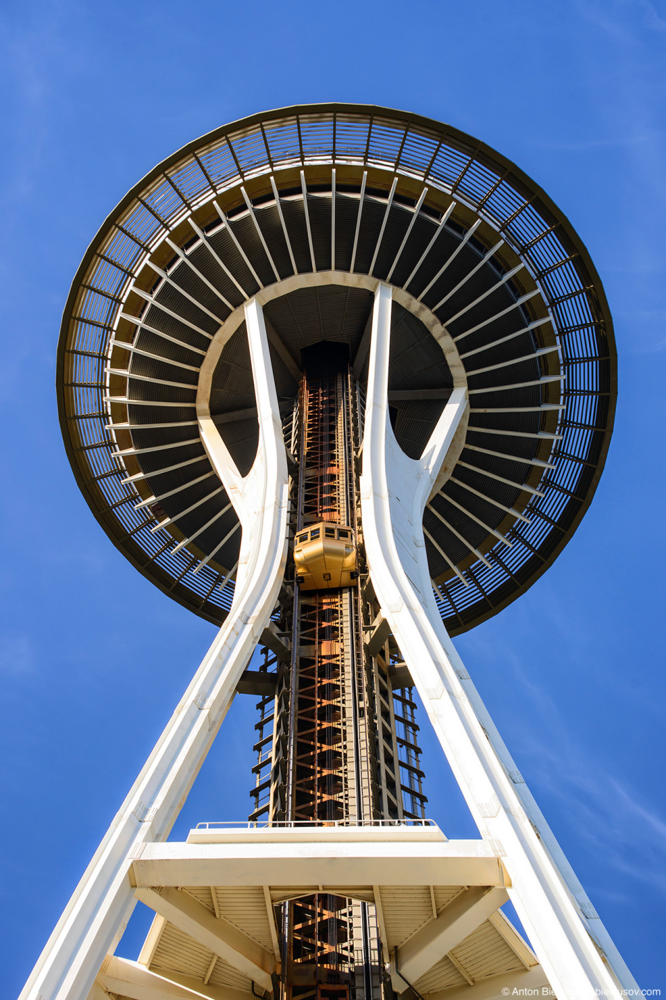Seattle City Pass: Space Needle