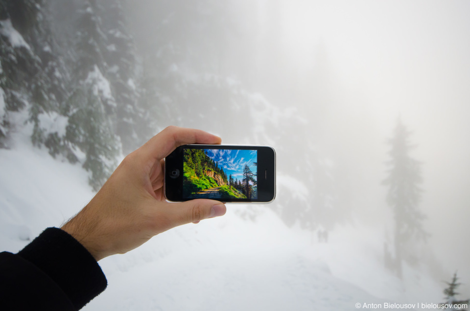Вид на трейл на горе Grouse Mountain в июле и в ноябре Вид на трейл на горе Grouse Mountain в июле и в ноябре