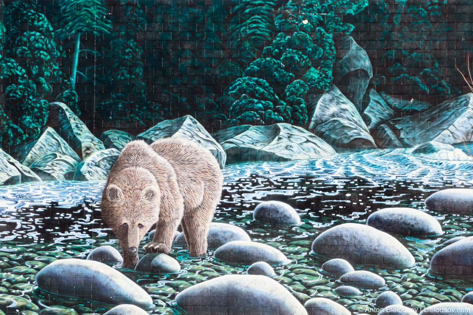 Городской арт. Никто пока не может сравниться в этом с Виннипегом. Spirit Bear — очень популярный реальный персонаж в Британской Колумбии Городской арт. Никто пока не может сравниться в этом с Виннипегом. Spirit Bear — очень популярный реальный персонаж в Британской Колумбии