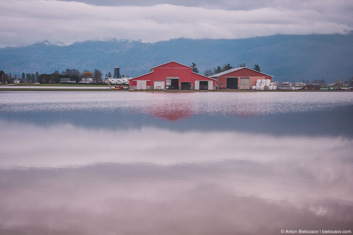 Vancouver Pacific Northwest Flood — Abbotsford