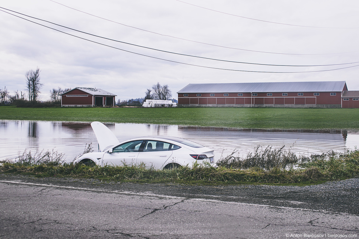 Vancouver Pacific Northwest Flood — Flood Damaged Tesla